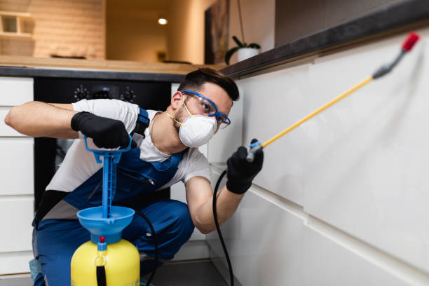 Best Insect Control  in Forest View, IL