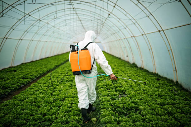 Best Residential Pest Control  in Forest View, IL