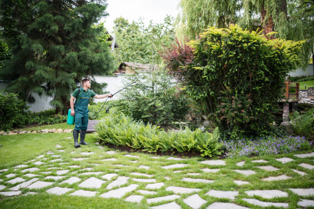 Best Cockroach Control Services  in Forest View, IL