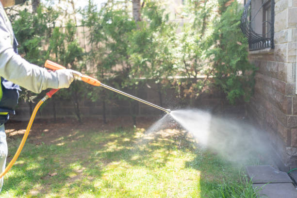 Best Termite Control Services  in Forest View, IL