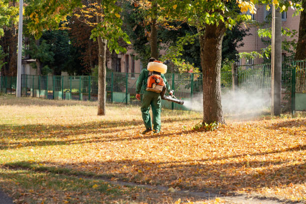 Best Pest Removal Services  in Forest View, IL