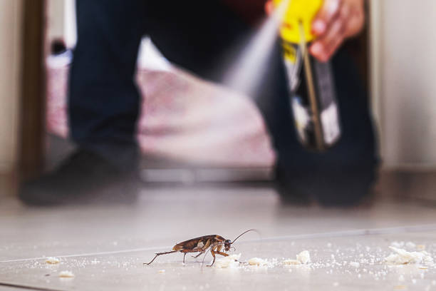 Best Pest Control for Restaurants  in Forest View, IL