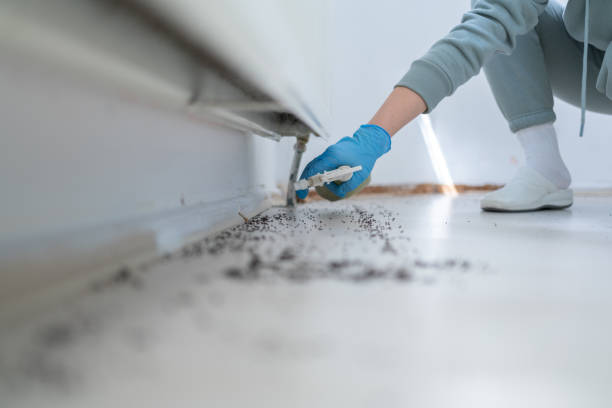 Best Bed Bug Extermination  in Forest View, IL