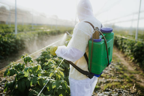 Best Best Pest Control Companies  in Forest View, IL